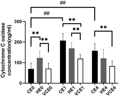 A Comparison of the Antioxidant Effects Between Hydrogen Gas Inhalation and Vitamin C Supplementation in Response to a 60-Min Treadmill Exercise in Rat Gastrocnemius Muscle